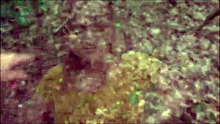 Lina Mila otoyolda spontane olarak sikildi, seks park yerinde