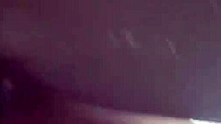 Cobra preta knuller ræva til mulata fernanda chocolate