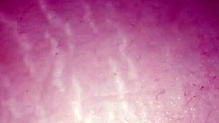 Amateur Wife Shares Daily Moments With Mature Charm