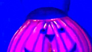 twerking the pumpkin in amateur couple scene