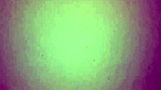 Colombian With Huge Tits And Big Ass Spreading For Homemade Blowjob