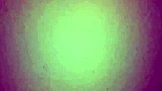 Colombian With Huge Tits And Big Ass Spreading For Homemade Blowjob