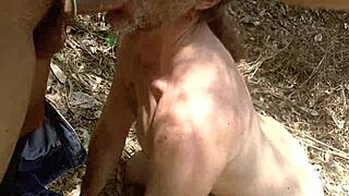 gay american sucks young 18+ mexican cock in public park