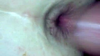 sweet cats in a young reality setting