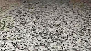 fucking my bestfriend with a strapon feels so wild and intimate.