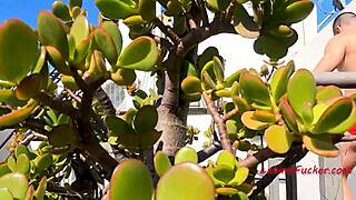 sun kissed skin swept by sin