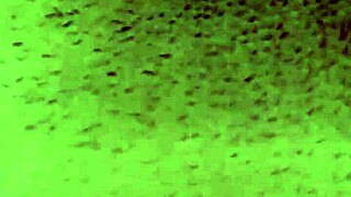 Foot Fetish Fucking and Cumming on Socks with JuanLatino