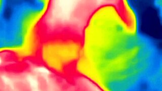 Passionate Couple Fucking with Licks