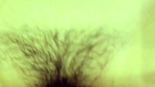 my wife pussy so tasty