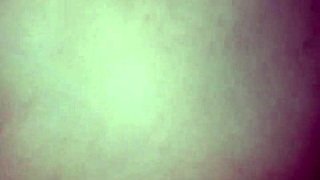 Nice Latina Ass Gets Fucked On All Fours