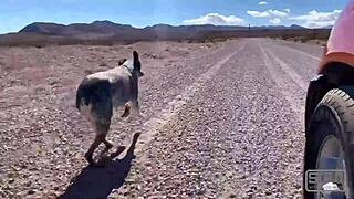 Amateur couple banging hard in Las Vegas despite the windy day chaos.