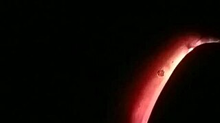 hot car sex bent over doggystyle with great audio 🔥