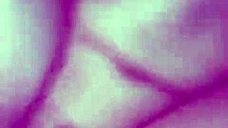 Little White Girl Moans on Monster Cock