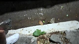 Wow, Hooked Up in Uber After Party, Driver Watched!