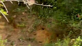 Helping Stranger for Forest Sex with Monster Cock, Almost Caught