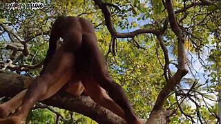 Homemade video of Adam and Eve licking, blowing, and anal fucking with big cocks