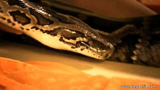 Watching this Indian brunette dance erotically feels like a dream.