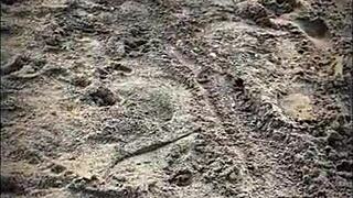 public sex on the beach with a stranger! 😲