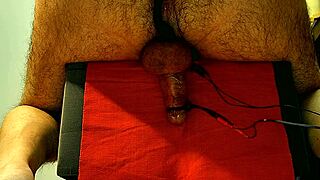 hey, ever seen chair cum action live?