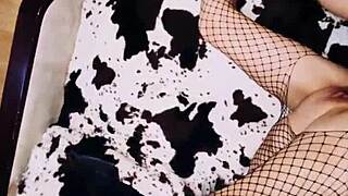 Climax Hits as She Begs for Anal in Lingerie Doggystyle