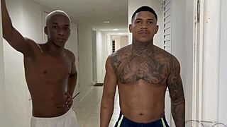 Hey boys, dropped your ball in my yard! Come in for cake and fun!