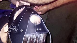 woman gets attention in backyard during traffic