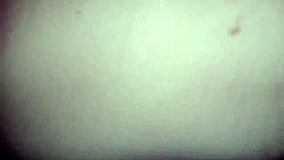 My stepsister gives me twerking on my big cock