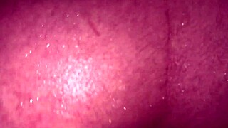 Hey, I brought a tourist to my hostel, wanna see us banging in the bathroom?