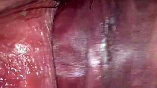 i called my 18 year old sister in law to calm her horny desires with anal licking and pussy eating. she begged for more assfucking and cunnilingus.