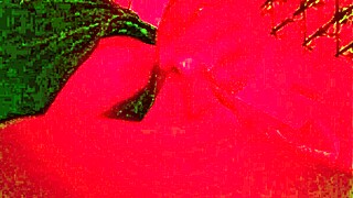 pov of young 18+ latino neighbor in usa