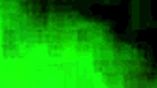 Living that wild life with my ebony babe, loving every hot moment! 😍