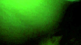 Living that wild life with my ebony babe, loving every hot moment! 😍