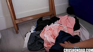 What's up with Daisy Fox and Nicky Rebel on sale?