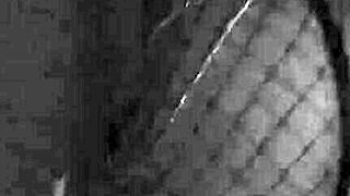 Hotwife Dancing in Halloween Costume Fun