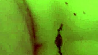 British babe with big ass 😍