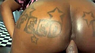 Pirates of the Caribbean Inspired Wild POV Action With Caribbean Vibe