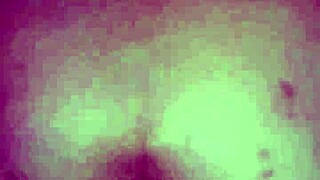 Black bull's bunny ravishes Ray Main bunny!