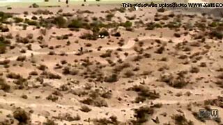 she is my wife's hair vendor, came to deliver but wife not in