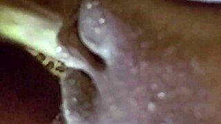 Warning: Mrnomercy Feeds That Pussy Like A God, I'd Pay To Be Demolished By Him Every Day