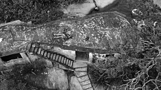 young ebony girl riding guys with her tight pussy