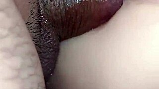 candy enjoys anal sex in different angles