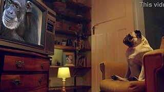 Benefit Monkey I Masturbate Amy Douxxx On My Living Room Couch With A Vibrator!