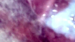 Is Creampying My Girlfriend the Ultimate Pleasure or Risky Fun?