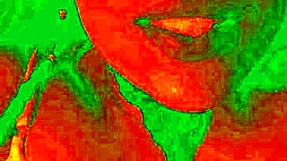 Exotic Bluee Shows Horny Pleasure Face During Pussy Licking