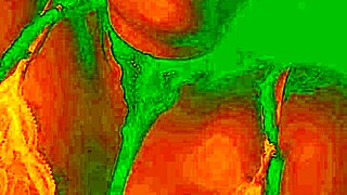 Exotic Bluee Shows Horny Pleasure Face During Pussy Licking