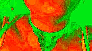 Exotic Bluee Shows Horny Pleasure Face During Pussy Licking