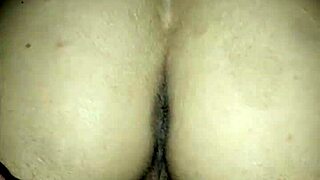 Ay Despacito, Me Duele Mucho Mi Culo, Suegro, Be Gentle Please