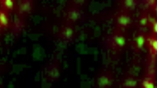 Kanedamaaka says, 'I'm so excited, I ruin your tights while bent over'