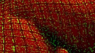 Kanedamaaka says, 'I'm so excited, I ruin your tights while bent over'