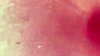 Hidden Amateur Activities At Home